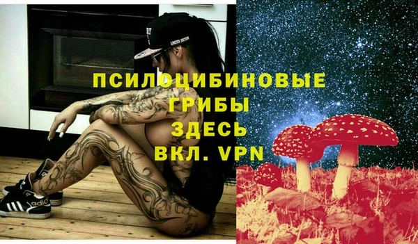 гидра Карпинск